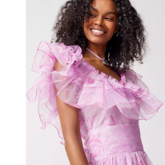 AMY JANE LONDON $459 loveshackfancy style organza whimsical aurora gown XS NWT - Picture 2 of 8